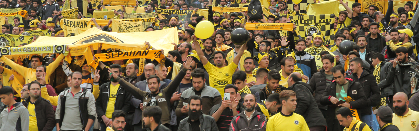 fans