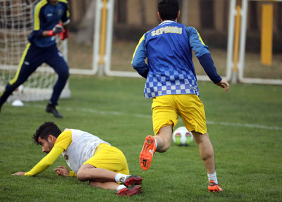 باغ فردوس