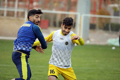 باغ فردوس
