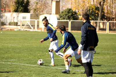 باغ فردوس