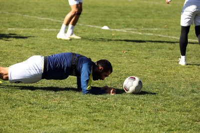 باغ فردوس