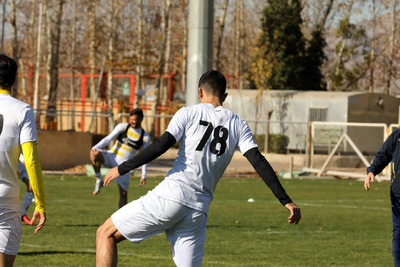 باغ فردوس